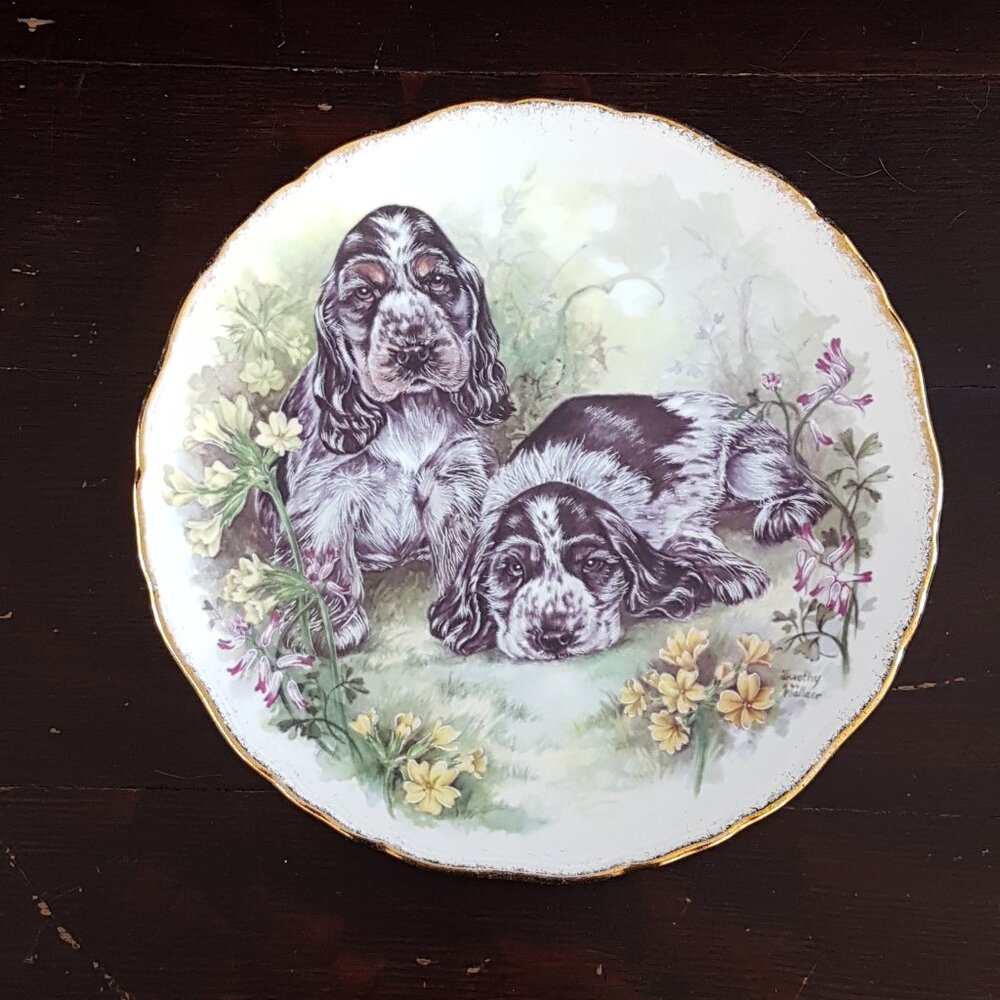 Vintage Royal Kent Cocker Spaniel Puppy Bone China Collector Plate